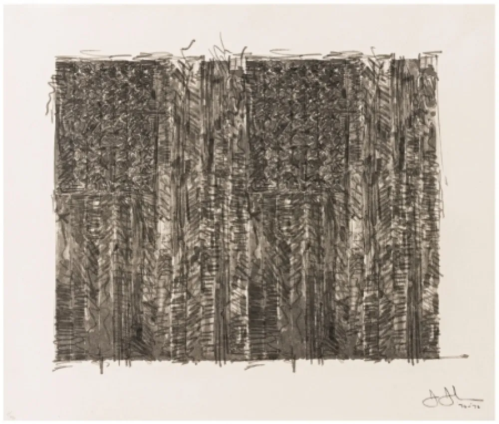 Serigrafía Johns - Two Flags