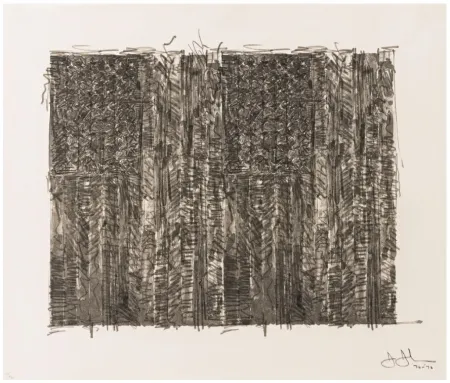 Serigrafía Johns - Two Flags