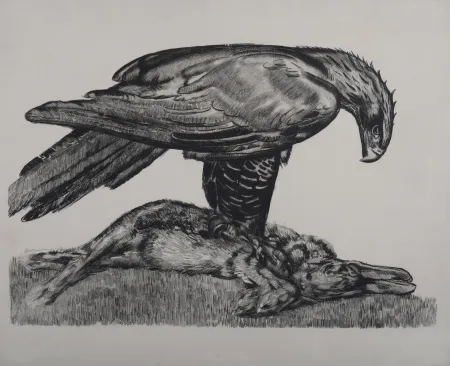 Aguafuerte Jouve - Aigle enserrant un lièvre, c. 1930 - Deluxe suite!