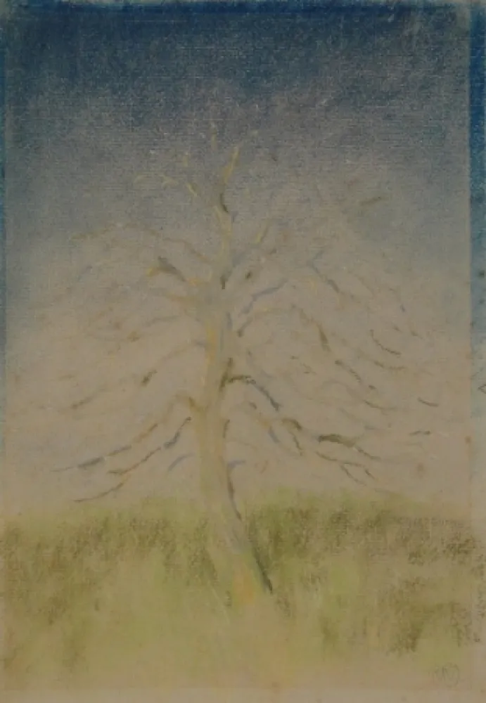 Sin Técnico Junghanns - (Kahler Baum)