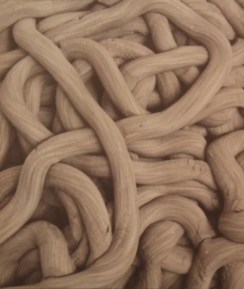 Litografía Kapoor - A Detail of Greyman Cries, Shaman Dies, Billowing Smoke, Beauty Evoked, 2008-2009 