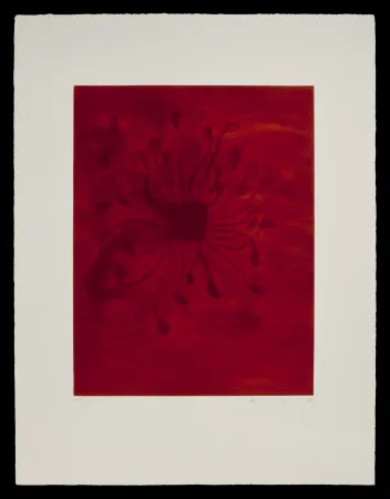 Aguatinta Kapoor - S/T