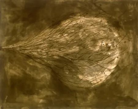 Aguatinta Kapoor - Untitled (III)