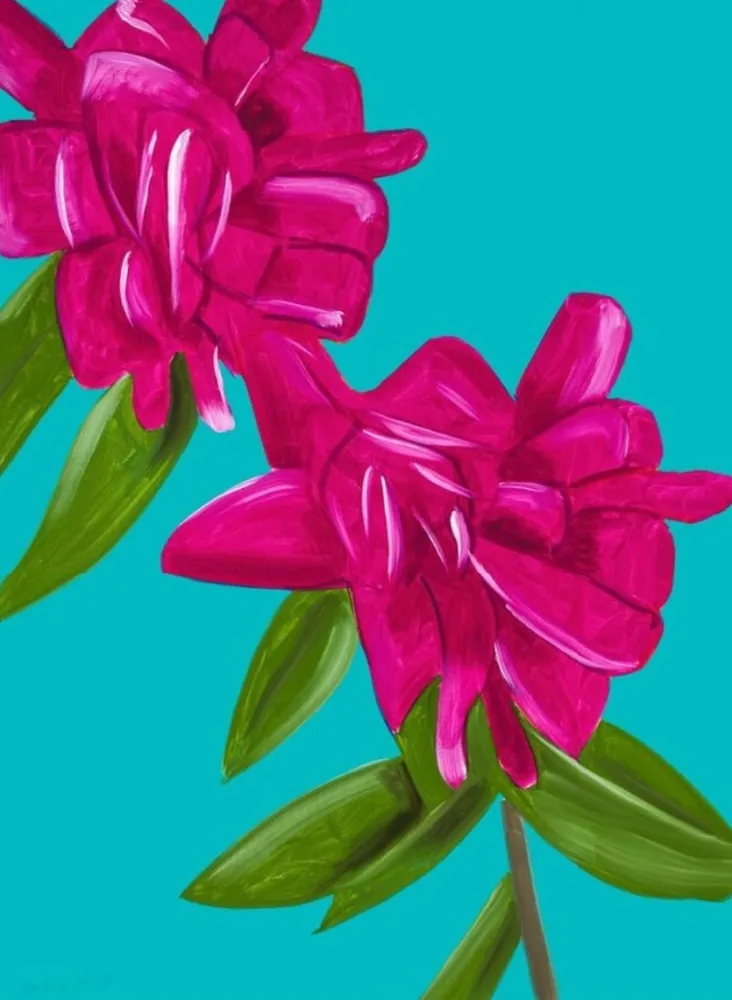 Sin Técnico Katz - Peonies