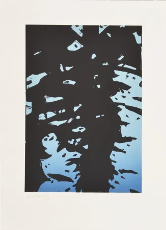 Aguafuerte Katz - Reflection I