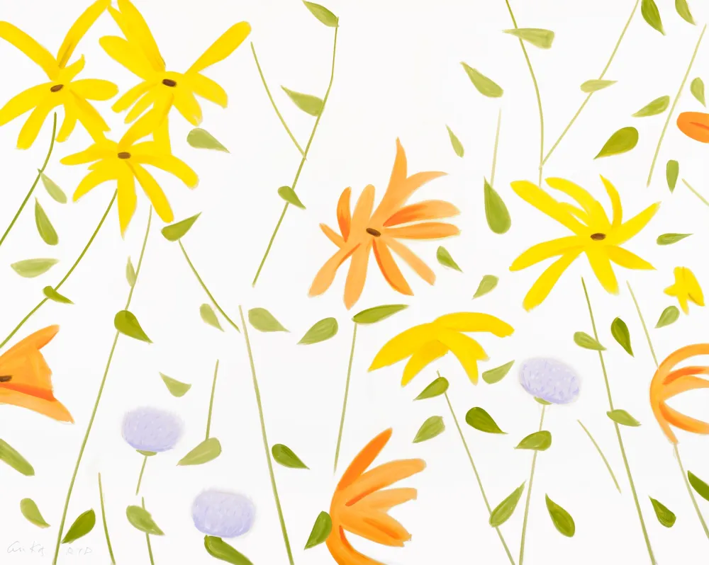 Sin Técnico Katz - Summer Flowers 2