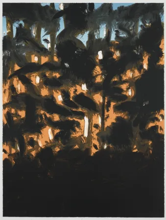 Múltiple Katz - Sunrise