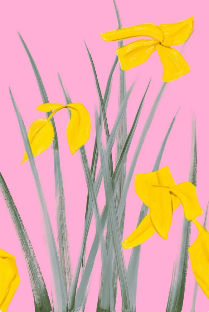 Sin Técnico Katz - Yellow Flags 3