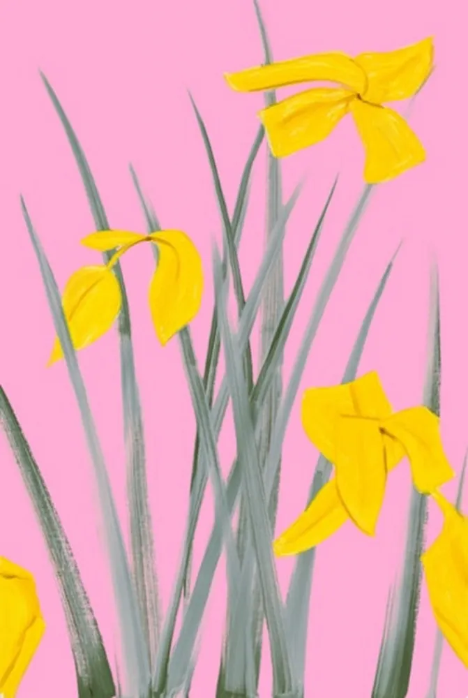 Sin Técnico Katz - Yellow Flags 3