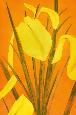 Aguafuerte Y Aguatinta Katz - 