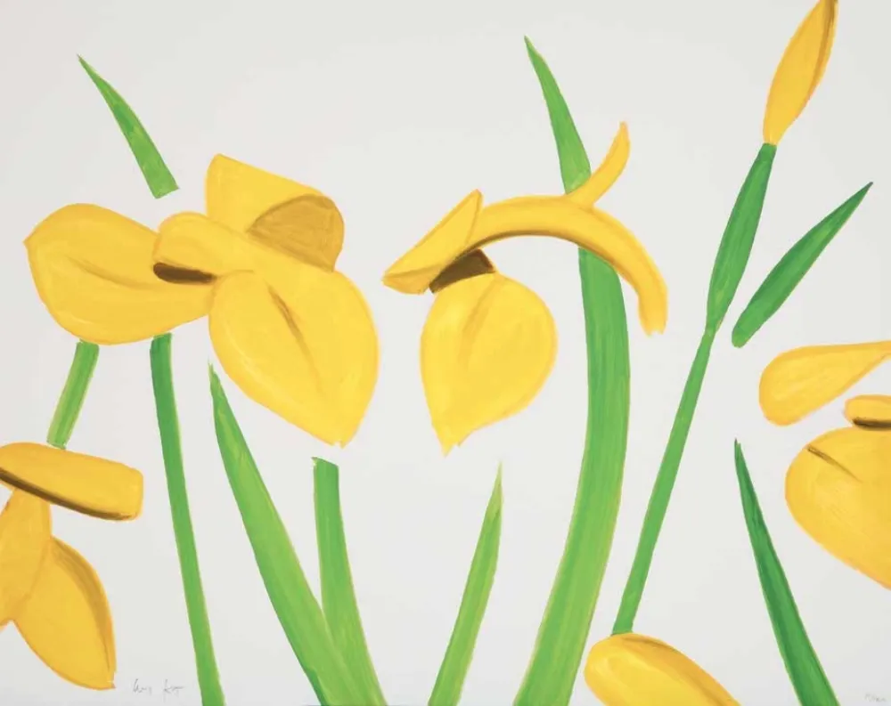 Sin Técnico Katz - Yellow Flags on White