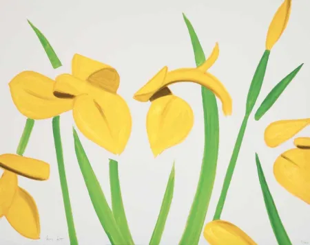 Sin Técnico Katz - Yellow Flags on White