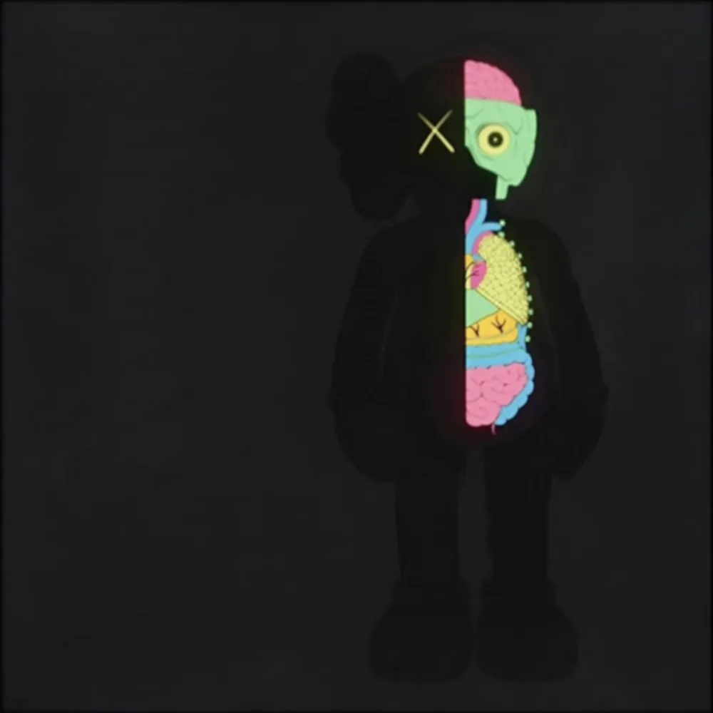 Múltiple Kaws - Dissected Companion (Black)