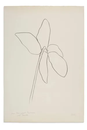 Litografía Kelly - Cyclamen IV, 1964-1965