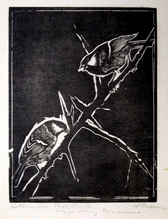 Grabado En Madera Klemm - Kohlmeisen (Great Tits)