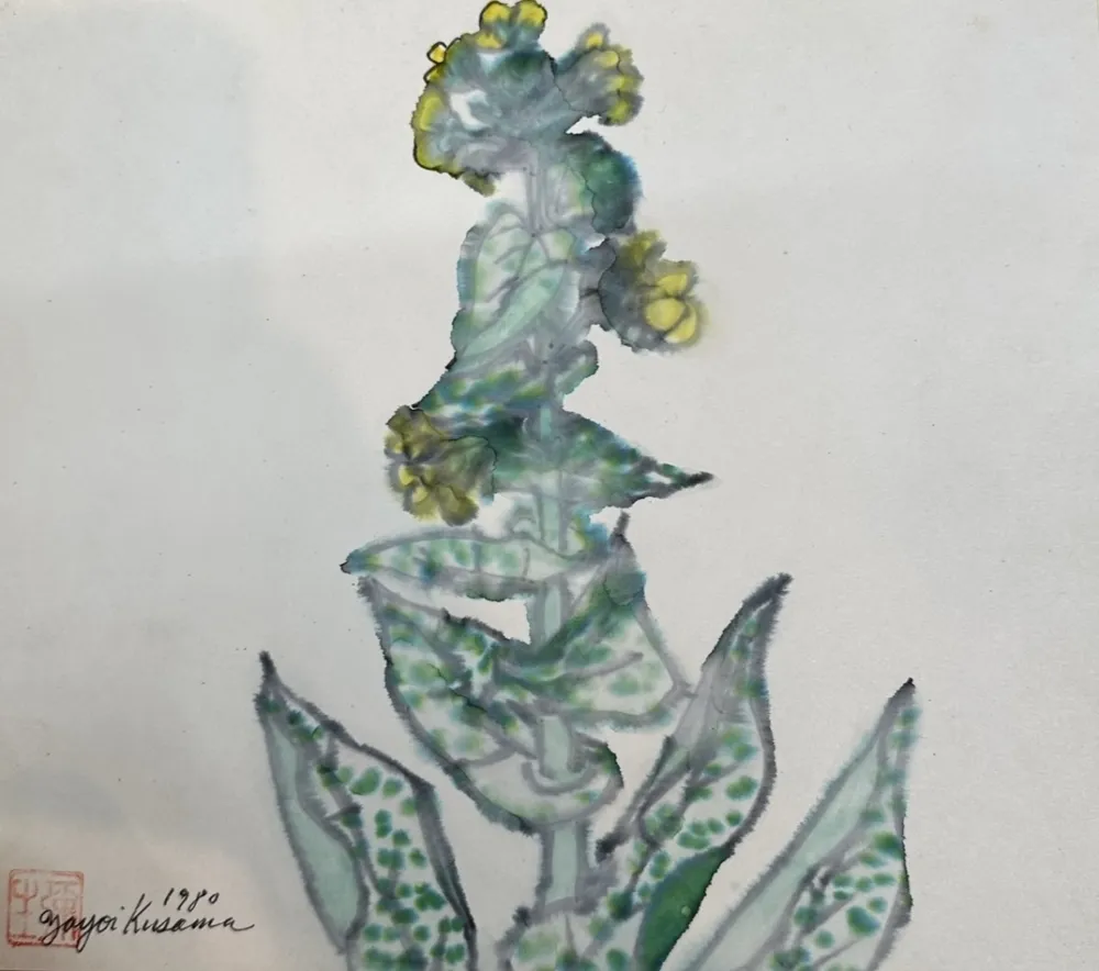 Sin Técnico Kusama - Rape blossoms