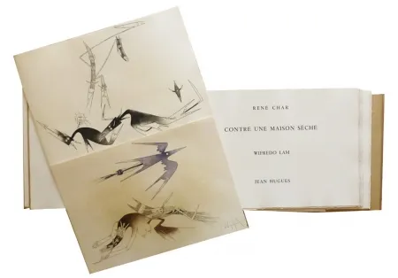 Libro Ilustrado Lam - Contre une maison sèche