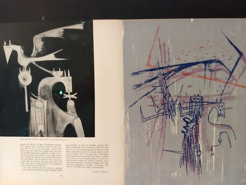 Libro Ilustrado Lam - Xxe No 21