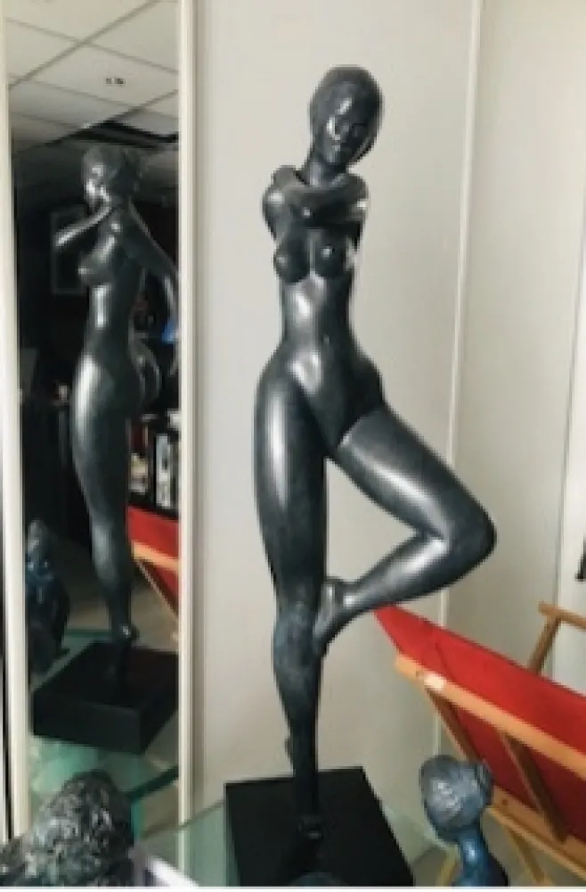 Sin Técnico Laniau - Hirondelle