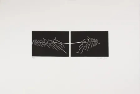 Linograbado Larregui - TIR A LA CORDE