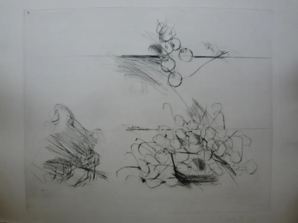 Grabado Lataster - Sans titre