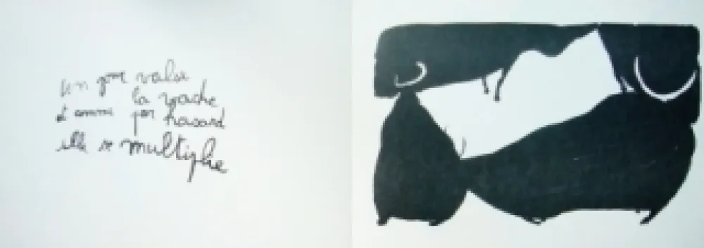 Libro Ilustrado Lebelle - Vaches d'Inde