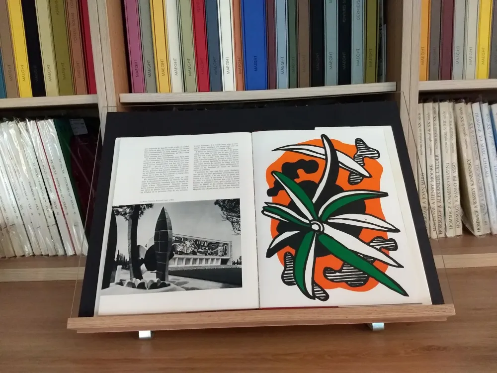 Libro Ilustrado Leger - Hommage