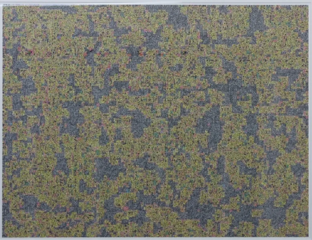 Estampa Numérica Leherpeur - Compression ADS 2