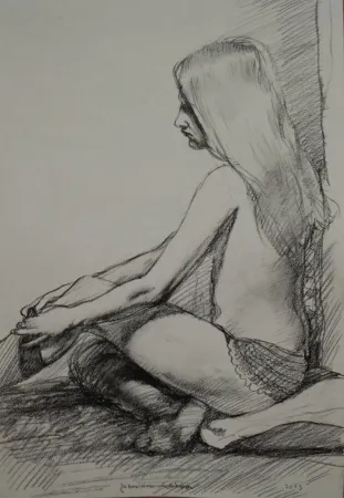 Sin Técnico Lehrer - Lucy Blueskies