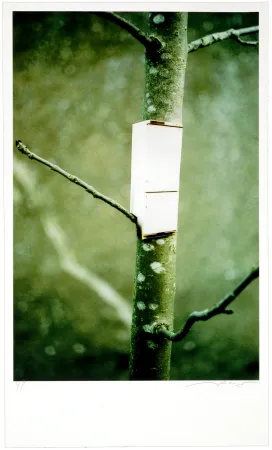 Estampa Numérica Leick - Greffes et greffons I