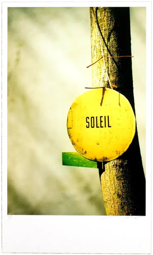 Estampa Numérica Leick - Greffes et greffons, II