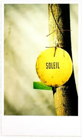 Estampa Numérica Leick - Greffes et greffons, II