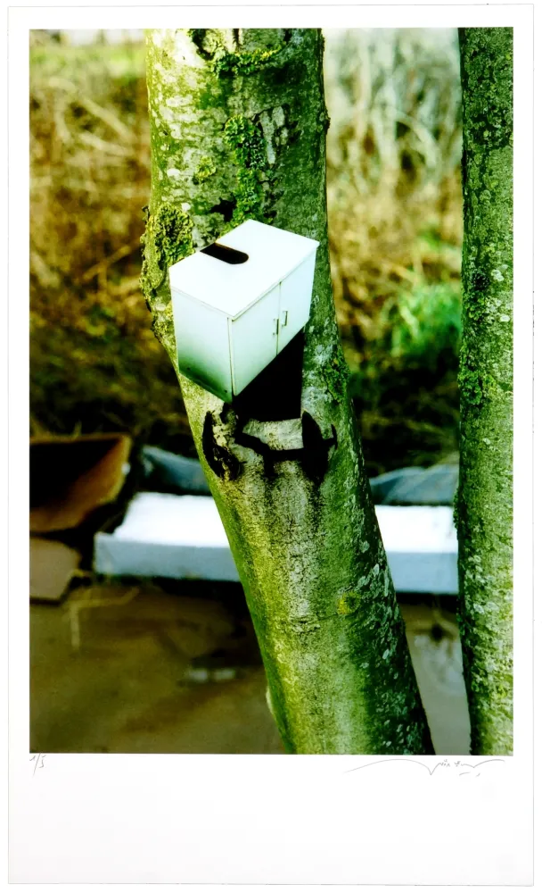 Estampa Numérica Leick - Greffes et greffons III