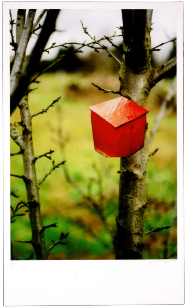 Estampa Numérica Leick - Greffes et greffons IV