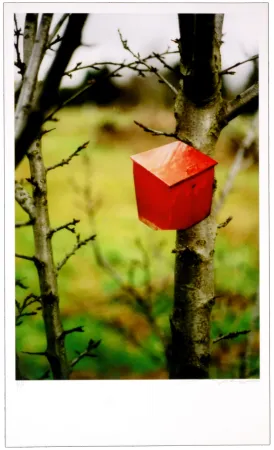 Estampa Numérica Leick - Greffes et greffons IV