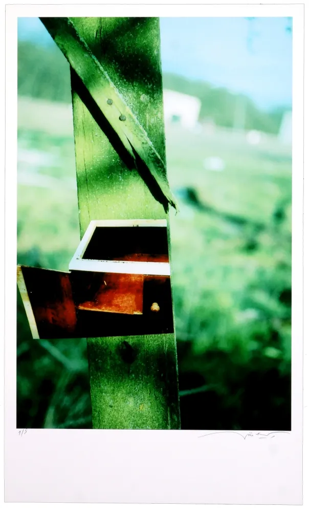 Estampa Numérica Leick - Greffes et greffons VI