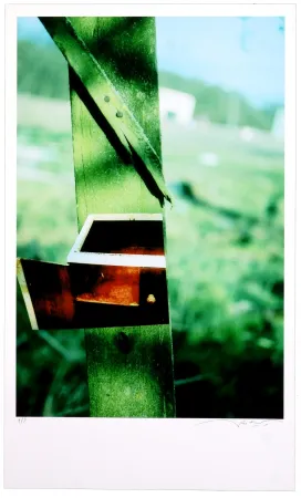 Estampa Numérica Leick - Greffes et greffons VI