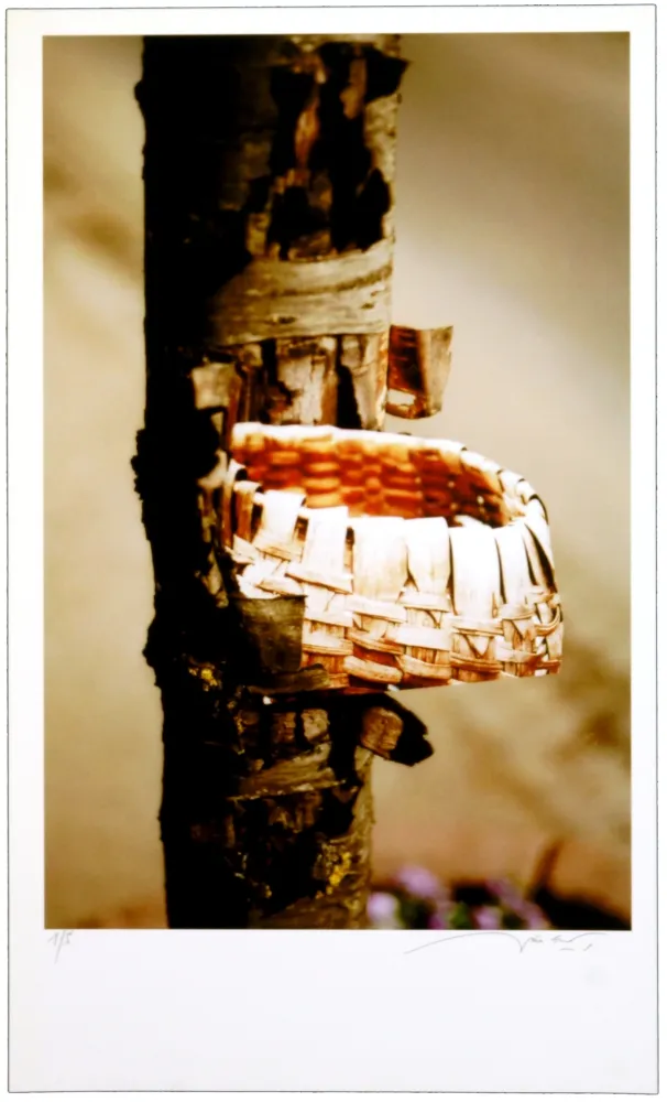 Estampa Numérica Leick - Greffes et greffons VIII