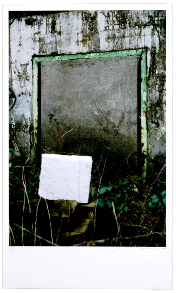 Estampa Numérica Leick - Greffes et greffons VIII