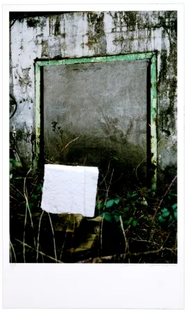 Estampa Numérica Leick - Greffes et greffons VIII