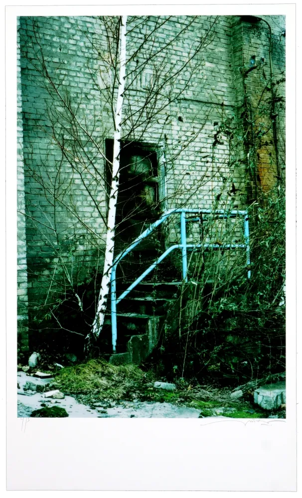 Estampa Numérica Leick - La fin d’un monde II