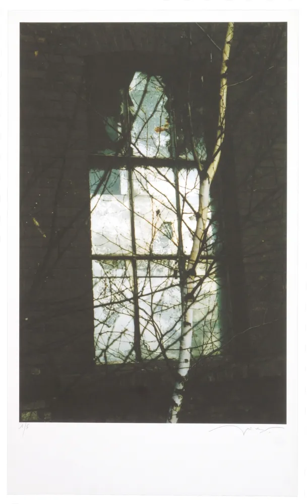 Estampa Numérica Leick - La fin d’un monde VI