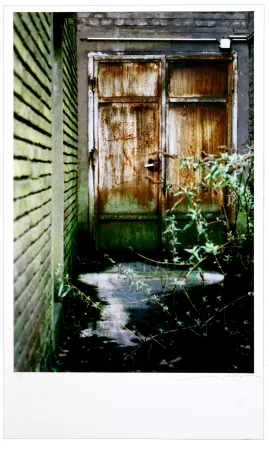 Estampa Numérica Leick - La fin d’un monde VIII