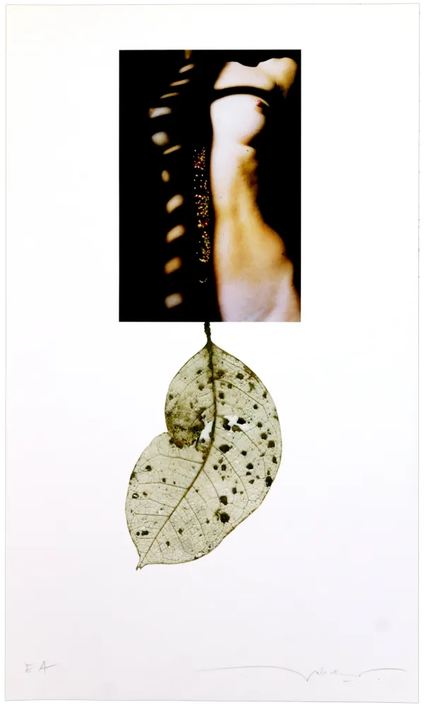 Estampa Numérica Leick - Sans titre I