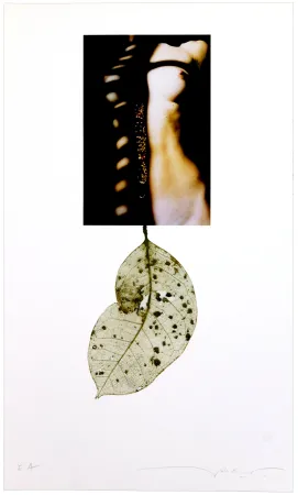 Estampa Numérica Leick - Sans titre I