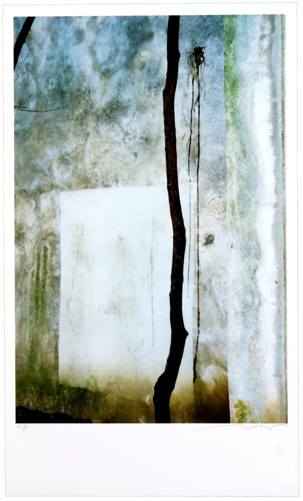 Estampa Numérica Leick - Window, 