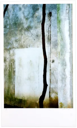 Estampa Numérica Leick - Window, 