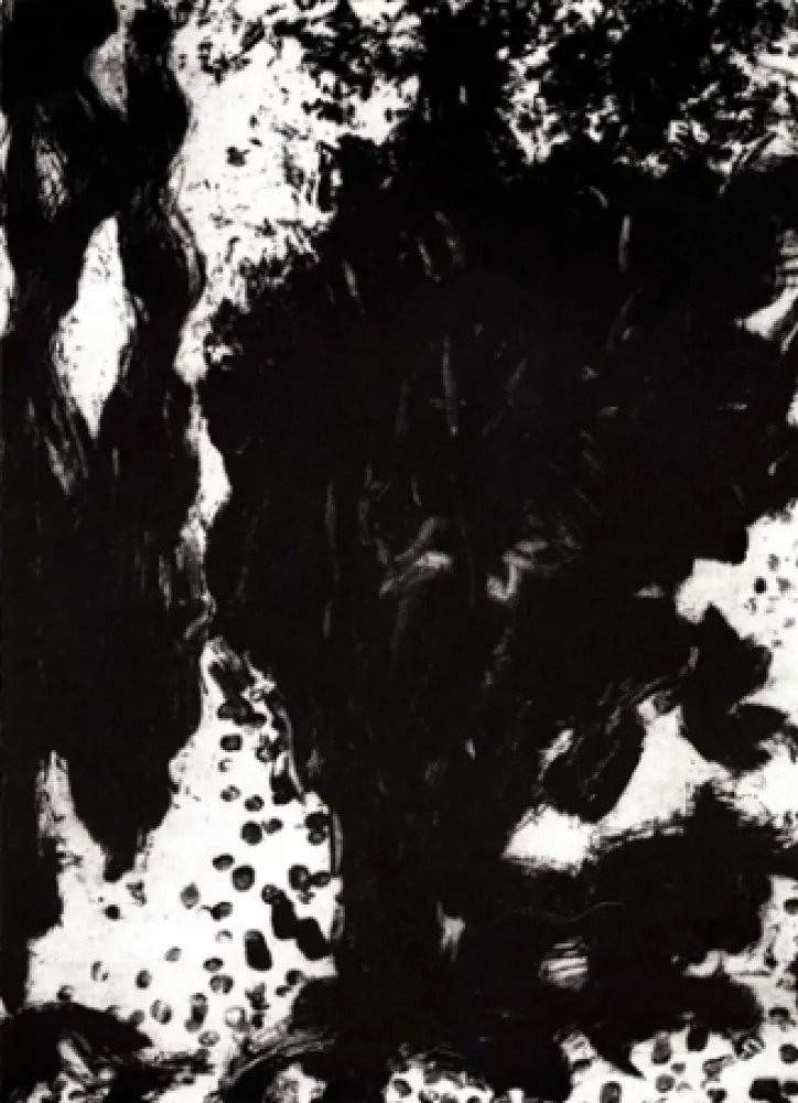 Grabado León - Luz de luna II