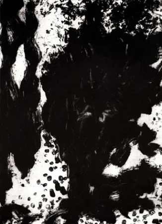 Grabado León - Luz de luna II