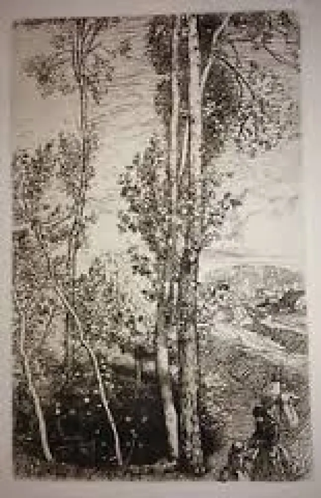 Grabado Lepere - La petite mare